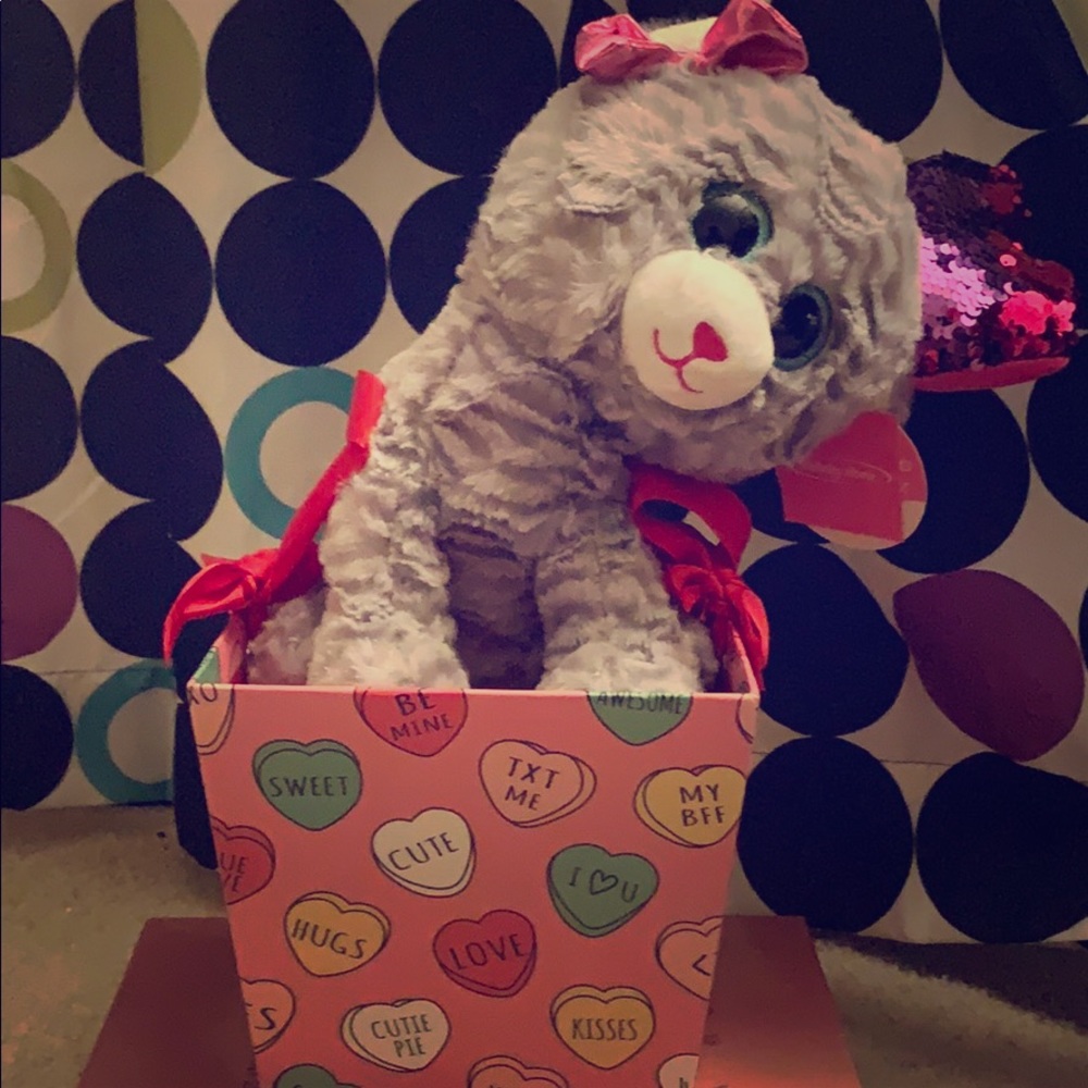 Teddy Bear w/ Decorated Box